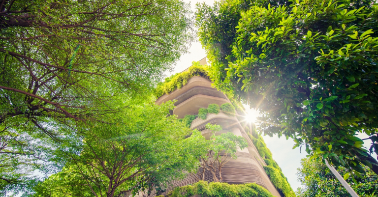 journey of better future