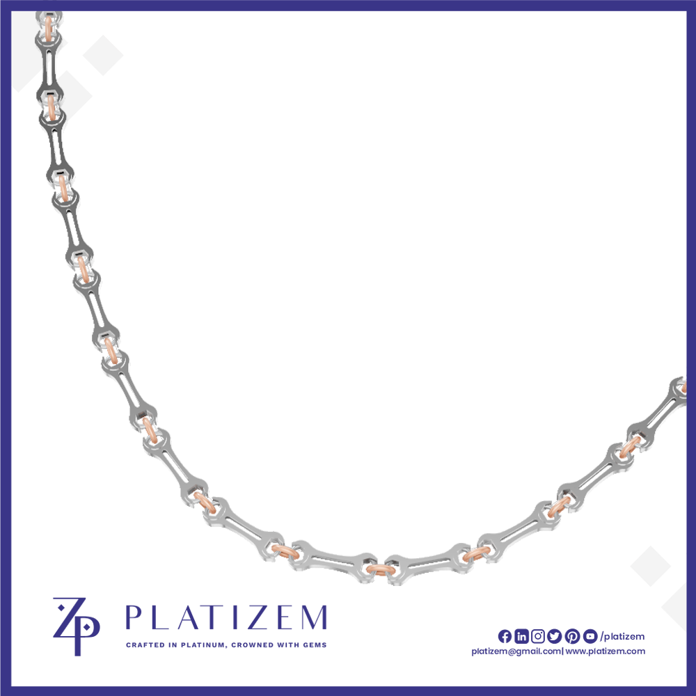 A Platizem chain necklace featuring silver-toned oval links with small rose gold accents, displayed on a white background with a blue border and brand logo.