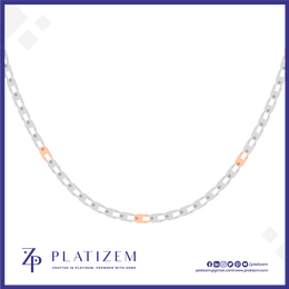 Mens Platinum Chain Necklace