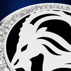 Close-up of a circular silver-toned jewelry piece featuring a bold black horse head emblem and a border of clear faceted gemstones on a dark blue background.
