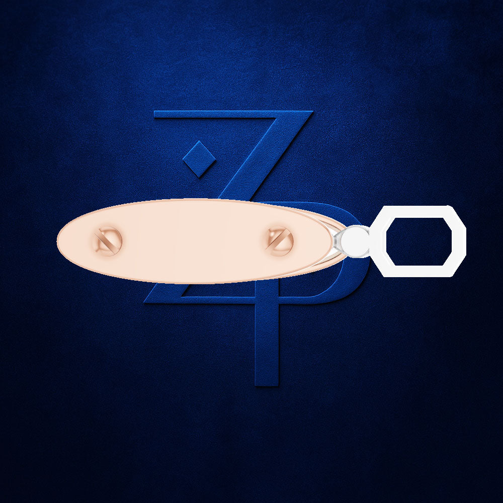 A close-up of a metallic keyring with a pale peach oval tag and a white hexagonal ring, shown against a dark blue textured background with a stylized blue 'ZPD' logo.