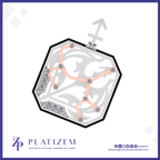 A stylized product graphic of an octagonal pendant or charm with a black border, silver-toned ornate background, pale pink astrological line design, and small gem-like accents, shown on a white field with the brand name PLATIZEM and social icons at the bottom.