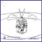 An oval-cut clear gemstone pendant in a silver-toned setting on a matching silver chain, shown against a white background with a blue border and Platizem branding at the bottom.